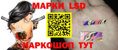 стафф Волгодонск