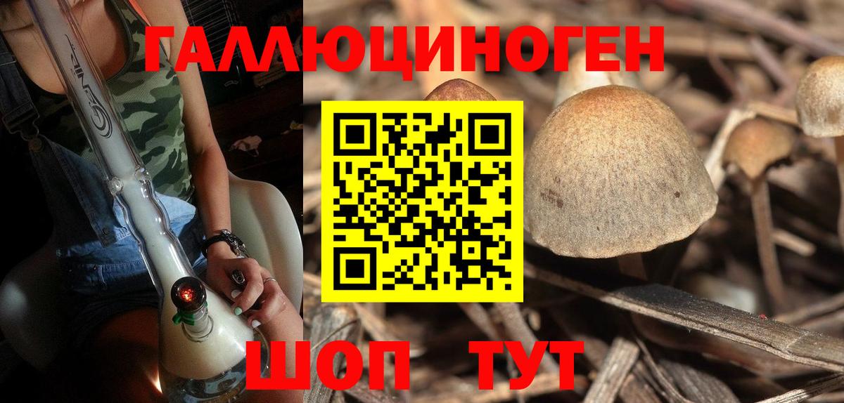 Псилоцибиновые грибы GOLDEN TEACHER  Вход с VPN  Архангельск  Галлюциногенные грибы Psilocybine cubensis 